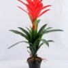 Artificial Plant 45*45*64cm Ginger Flower in Plastic pot GF-41919002-R1 1 Artificial Plant 45*45*64cm Ginger Flower in Plastic pot GF-41919002-R1