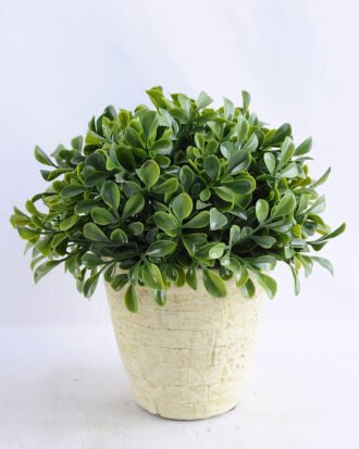 Artificial Plant 22*20CM Grass in cement pot GS-33019006
