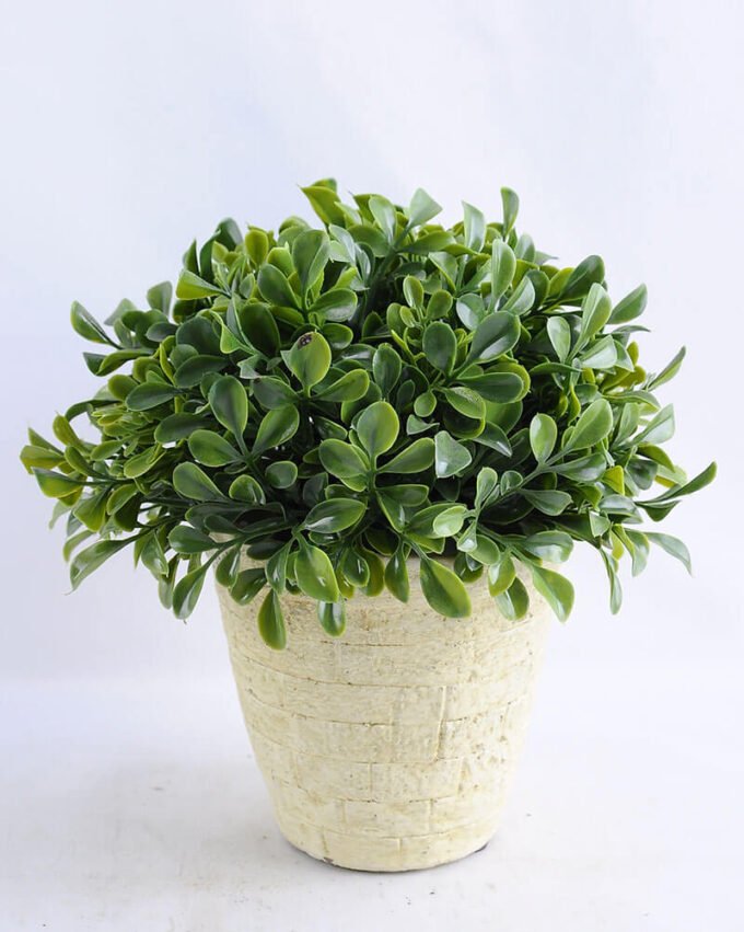 Artificial Plant 22*20CM Grass in cement pot GS-33019006