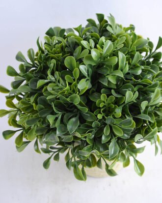 Artificial Plant 22*20CM Grass in cement pot GS-33019006