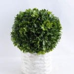 Artificial Plant 20*28CM Grass in paper pot GS-33019003