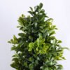 Artificial Plant 22*68CM Grass in paper pot GS-33019004 2 Artificial Plant 22*68CM Grass in paper pot GS-33019004