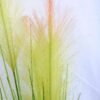 Artificial Plant 25*23*62.5CM Grass in plastic pot GS-29419049