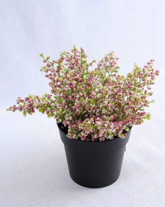 Artificial Plant 20*20*20cm Lavender in Plastic pot GS-03319030-R1