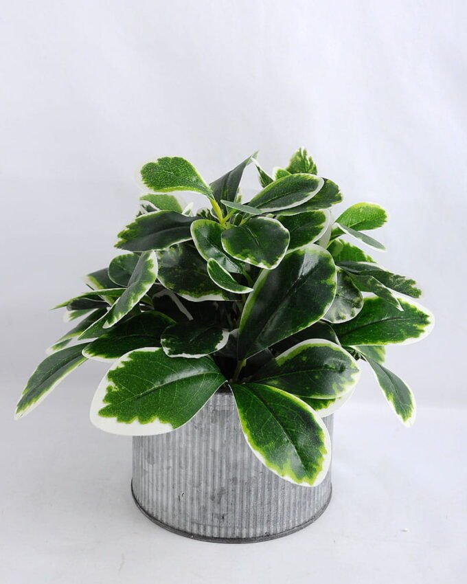 Artificial Plant 23*23*18.5cm Leaf Tin pot GS-03319101