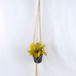 Artificial Plant 20*20*20cm Leaves in Plastic Pot, Rope: 82cm GS-03319183