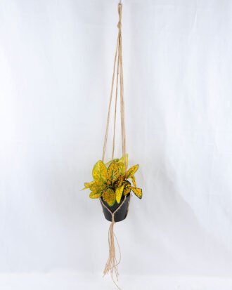 Artificial Plant 20*20*20cm Leaves in Plastic Pot, Rope: 82cm GS-03319183