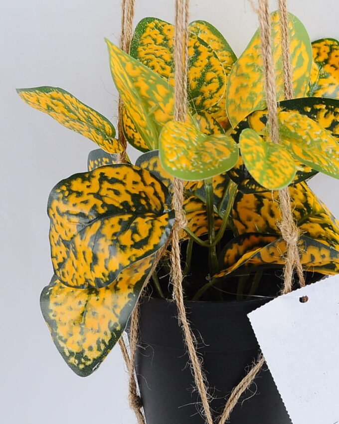 Artificial Plant 20*20*20cm Leaves in Plastic Pot, Rope: 82cm GS-03319183