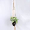 Artificial Plant 20*20*20cm Leaves in Plastic Pot, Rope: 82cm GS-03319184 1 Artificial Plant 20*20*20cm Leaves in Plastic Pot, Rope: 82cm GS-03319184
