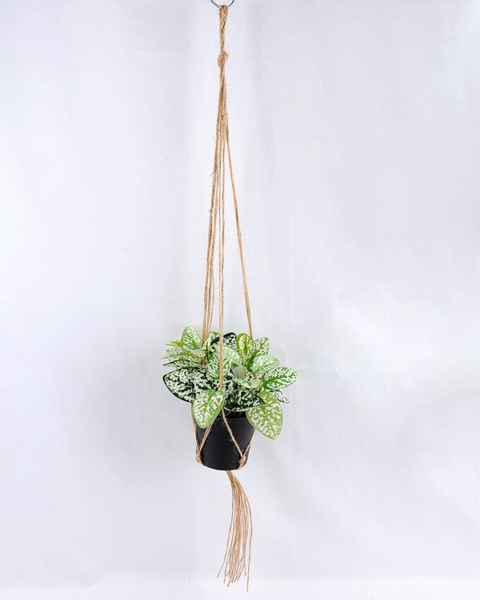 Artificial Plant 20*20*20cm Leaves in Plastic Pot, Rope: 82cm GS-03319184 1 Artificial Plant 20*20*20cm Leaves in Plastic Pot, Rope: 82cm GS-03319184