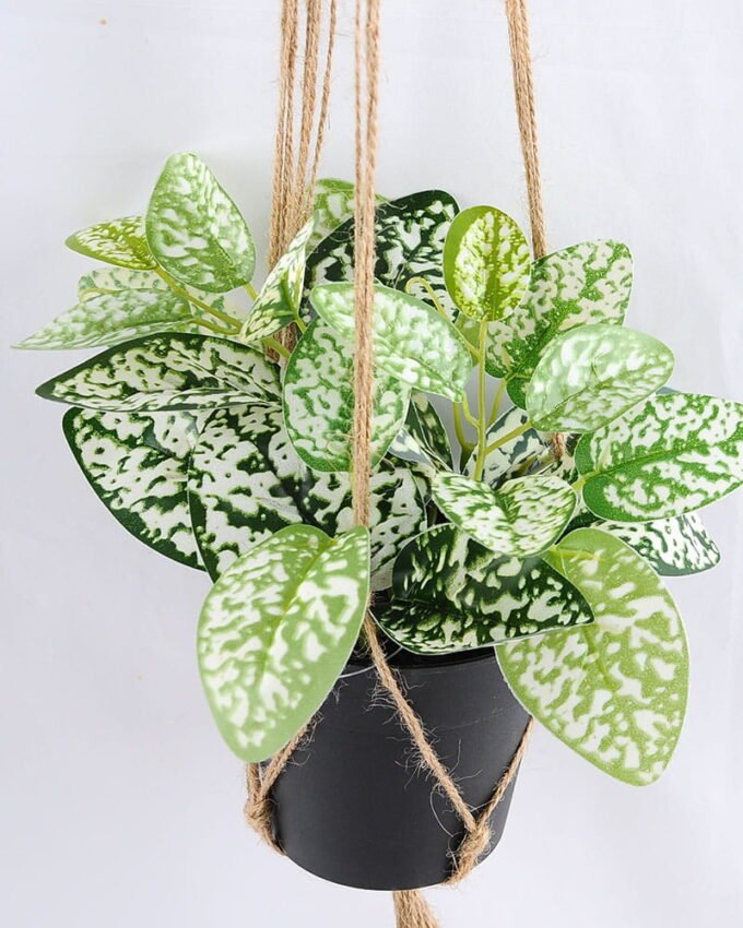 Artificial Plant 20*20*20cm Leaves in Plastic Pot, Rope: 82cm GS-03319184 2 Artificial Plant 20*20*20cm Leaves in Plastic Pot, Rope: 82cm GS-03319184