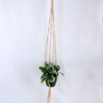 Artificial Plant 19*19*18cm Leaves in Plastic Pot, Rope: 82cm GS-03319186