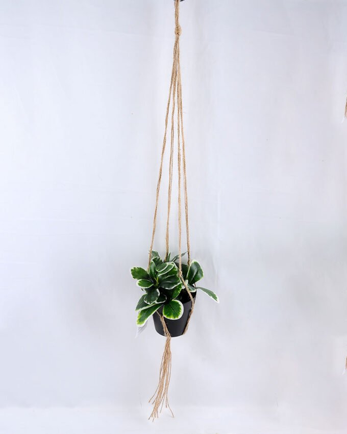 Artificial Plant 19*19*18cm Leaves in Plastic Pot, Rope: 82cm GS-03319186 1 Artificial Plant 19*19*18cm Leaves in Plastic Pot, Rope: 82cm GS-03319186