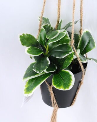 Artificial Plant 19*19*18cm Leaves in Plastic Pot, Rope: 82cm GS-03319186