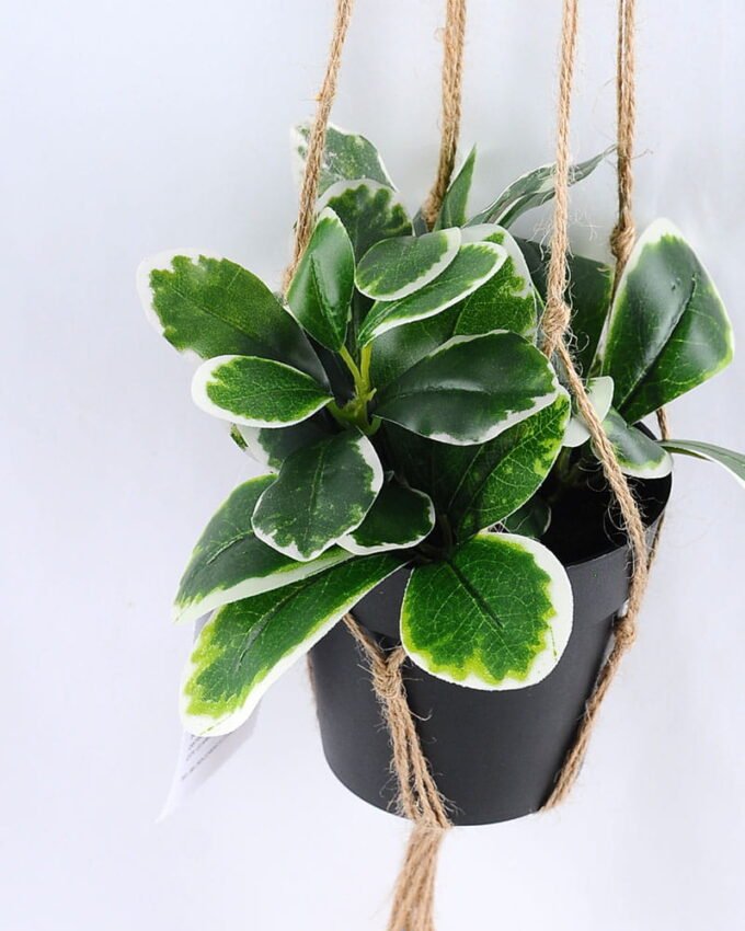Artificial Plant 19*19*18cm Leaves in Plastic Pot, Rope: 82cm GS-03319186 2 Artificial Plant 19*19*18cm Leaves in Plastic Pot, Rope: 82cm GS-03319186