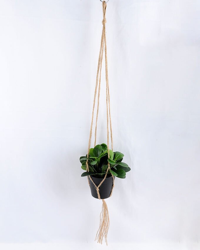 Artificial Plant 19*19*18cm Leaves in Plastic Pot, Rope: 82cm GS-03319187