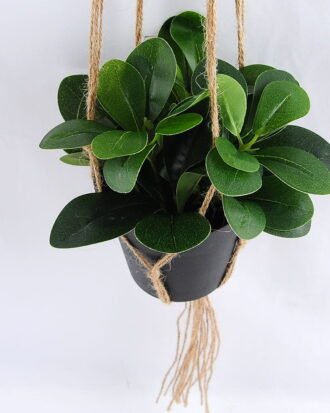 Artificial Plant 19*19*18cm Leaves in Plastic Pot, Rope: 82cm GS-03319187