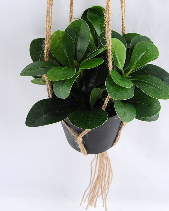 Artificial Plant 19*19*18cm Leaves in Plastic Pot, Rope: 82cm GS-03319187