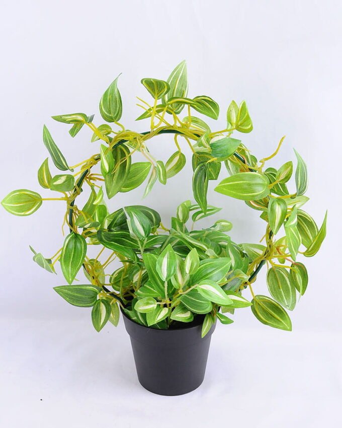 Artificial Plant 28*16*31cm Leaves in Plastic pot GS-03319028-G1