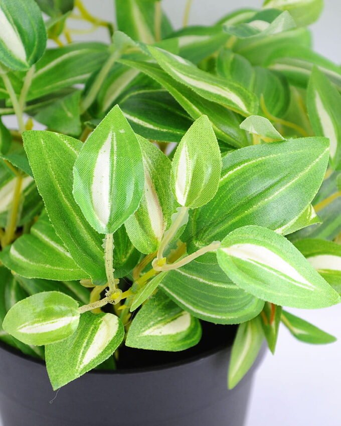 Artificial Plant 28*16*31cm Leaves in Plastic pot GS-03319028-G1