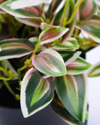 Artificial Plant 28*16*31cm Leaves in Plastic pot GS-03319028-P1