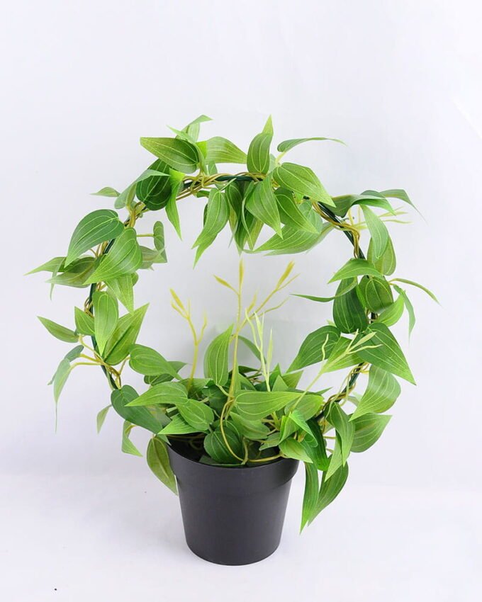 Artificial Plant 28*14*31cm Leaves in Plastic pot GS-03319029 1 Artificial Plant 28*14*31cm Leaves in Plastic pot GS-03319029