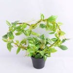 Artificial Plant 30*14*31cm Leaves in Plastic pot GS-03319031-G1