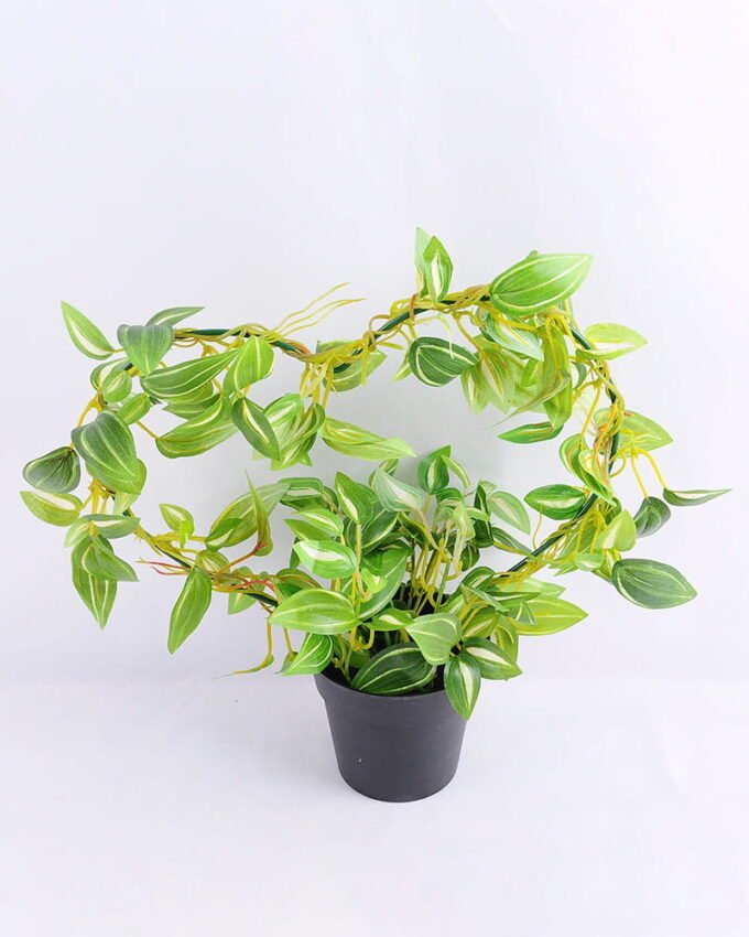 Artificial Plant 30*14*31cm Leaves in Plastic pot GS-03319031-G1 1 Artificial Plant 30*14*31cm Leaves in Plastic pot GS-03319031-G1