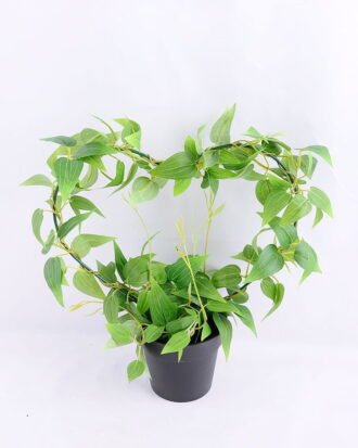 Artificial Plant 30*14*31cm Leaves in Plastic pot GS-03319032
