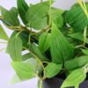 Artificial Plant 30*14*31cm Leaves in Plastic pot GS-03319032