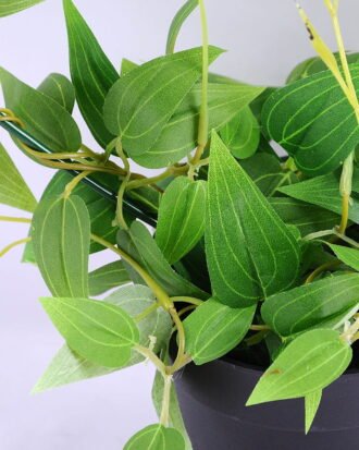 Artificial Plant 30*14*31cm Leaves in Plastic pot GS-03319032