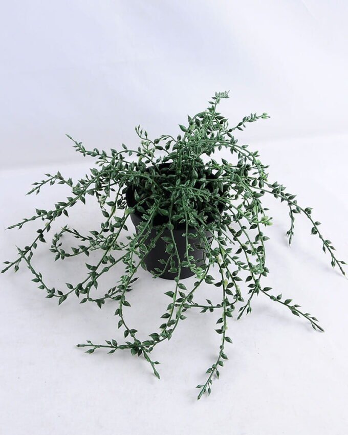 Artificial Plant 20*20*28cm Succlent in plastic pot GS-03319121