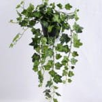 Artificial Plant 45*23*14cm hanging  Plastic pot GS-03319149