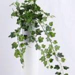Artificial Plant 38*20*21.5cm hanging in Tin pot GS-03319148