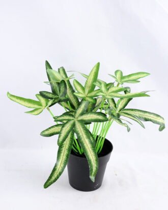 Artificial Plant 26*23*25cm leaf Plastic pot GS-03319169
