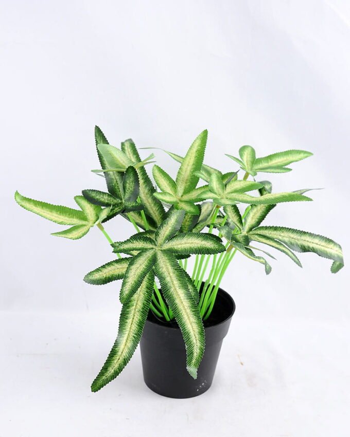 Artificial Plant 26*23*25cm leaf Plastic pot GS-03319169 1 Artificial Plant 26*23*25cm leaf Plastic pot GS-03319169