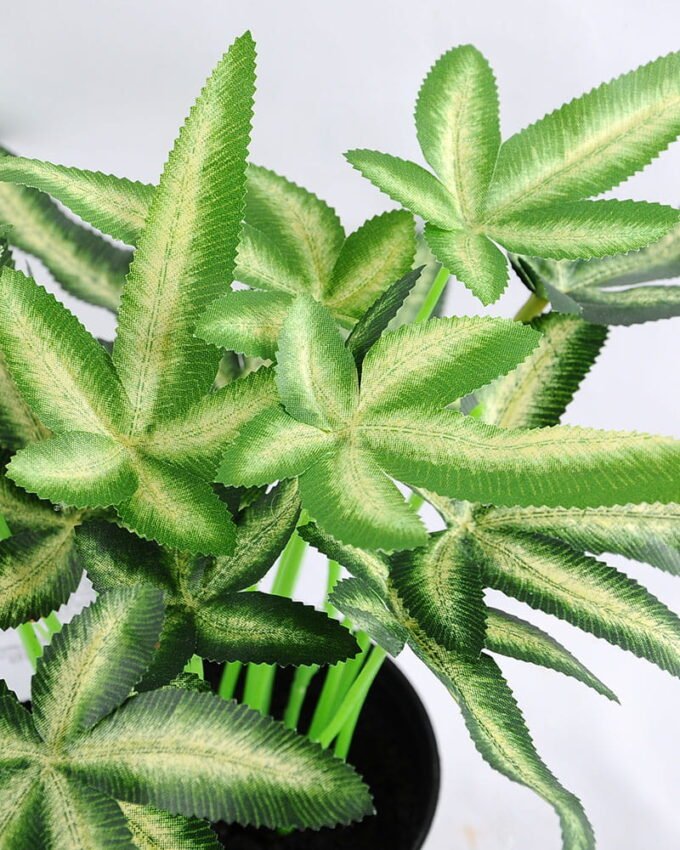 Artificial Plant 26*23*25cm leaf Plastic pot GS-03319169 2 Artificial Plant 26*23*25cm leaf Plastic pot GS-03319169