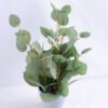 Artificial Plant 22*22*37cm leaf in Paper pot GS-03319136