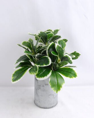 Artificial Plant 19*17*22cm  leaf in Tin pot GS-03319147