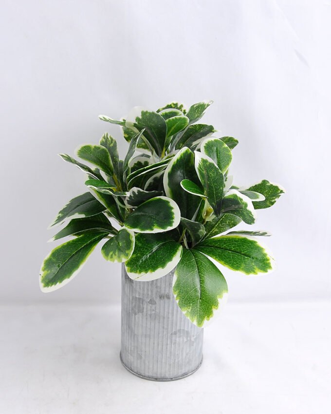 Artificial Plant 19*17*22cm leaf in Tin pot GS-03319147 1 Artificial Plant 19*17*22cm leaf in Tin pot GS-03319147
