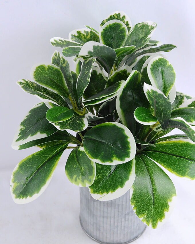 Artificial Plant 19*17*22cm leaf in Tin pot GS-03319147 2 Artificial Plant 19*17*22cm leaf in Tin pot GS-03319147