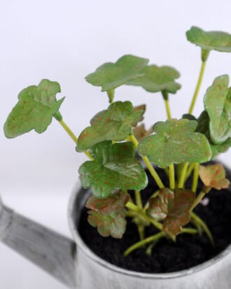 Artificial Plant 15.5*7.5*13.5cm leaf in Tin pot GS-03319174-G3 Potted Flowers&Plants YeahFlower is one of Chinese leading OEM manufacturers and exporters , supplying the silk flowers, wholesale artificial trees Artificial Plant 15.5*7.5*13.5cm leaf in Tin pot GS-03319174-G3