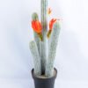 Artificial Plant 23*21*55cm single succulent with flower in Plastic pot GS-03319042-O1
