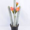 Artificial Plant 23*21*55cm single succulent with flower in Plastic pot GS-03319042-P1