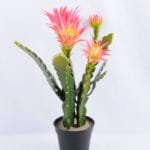 Artificial Plant 30*18*76cm single succulent with flower in Plastic pot GS-03319043-P1