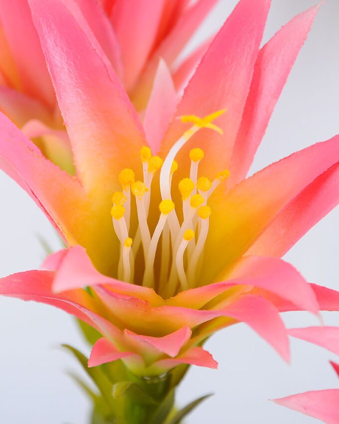 Artificial Plant 30*18*76cm single succulent with flower in Plastic pot GS-03319043-P1