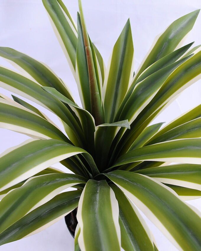 Artificial Tree 55*50*69 Maguey in Plastic pot GF-41919001