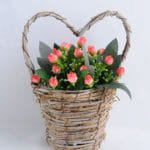 Artificial Tree 16*13*21cm Rose buds in Basket GS-03319082-P1