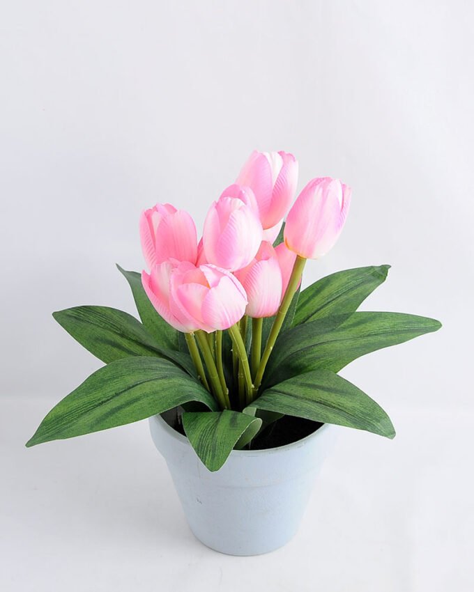 Artificial Tree 26*26*26cm tulip in Tin pot GS-03319084-P1