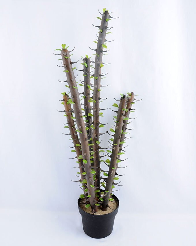 Artificial succulent 26*24*78cm single alhagi set in Plastic pot GS-03319039 1 Artificial succulent 26*24*78cm single alhagi set in Plastic pot GS-03319039